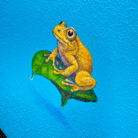 Golden Tree Frog and Leaf “float” (S0)
