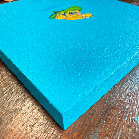 Golden Tree Frog and Leaf “float” (S0)