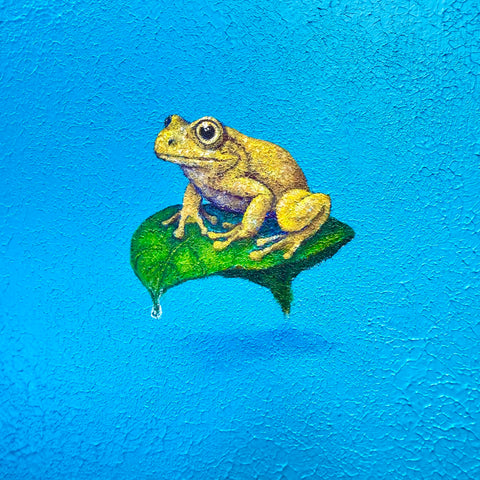 Golden Tree Frog and Leaf “float” (S0)