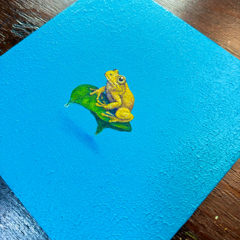 Golden Tree Frog and Leaf “float” (S0)