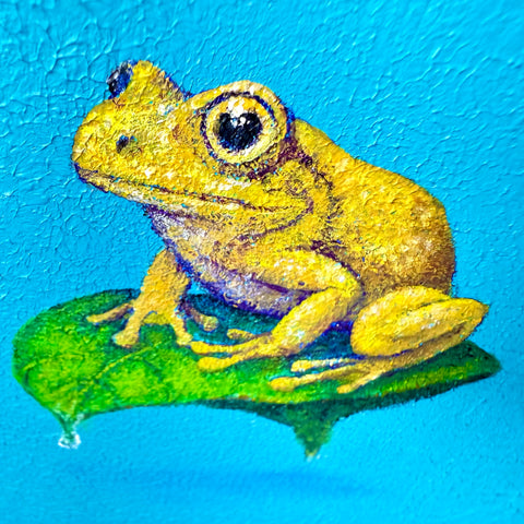 Golden Tree Frog and Leaf “float” (S0)