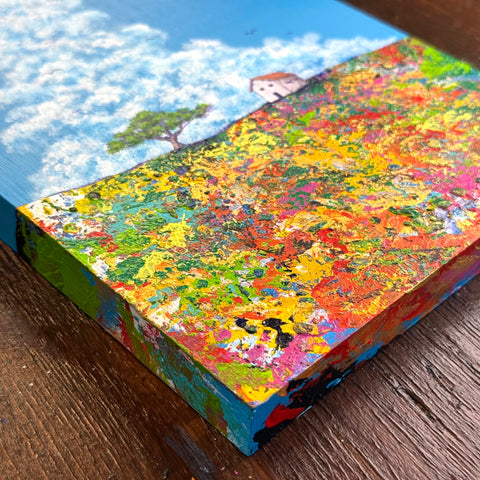 Under the Gentle Sky (SM)