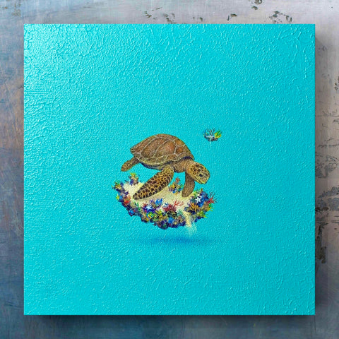 Sea turtle 002 "float"(S0)