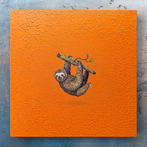 sloth "float" (S0)