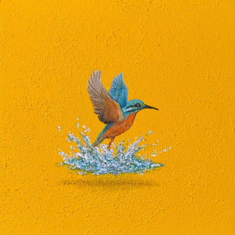 Humming bird "float" (S0)