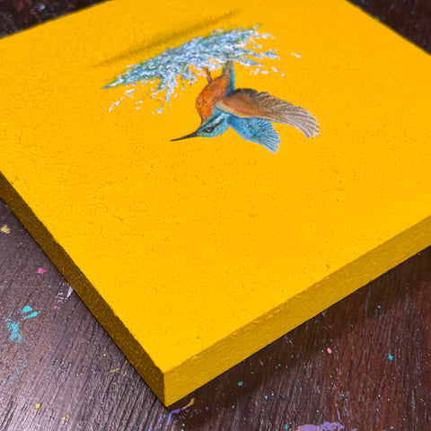 Humming bird "float" (S0)