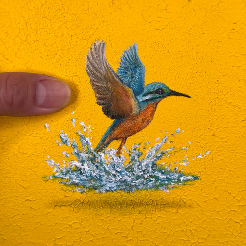 Humming bird "float" (S0)