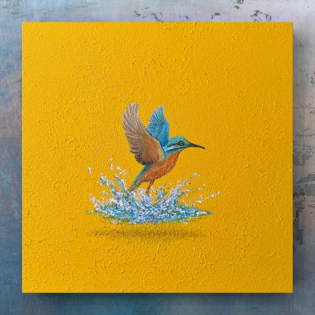 Humming bird 