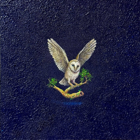 Barn Owl "float" (S0)(S0)