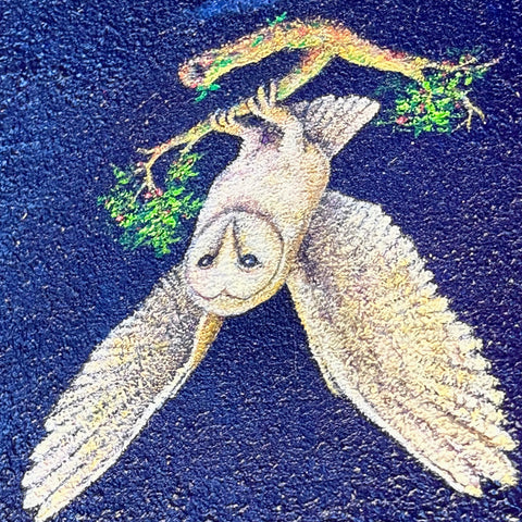 Barn Owl "float" (S0)(S0)