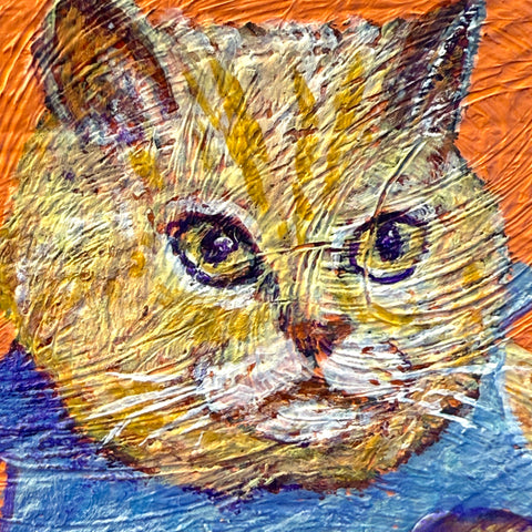 kinta cat "float" (S0)
