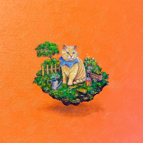 kinta cat "float" (S0)