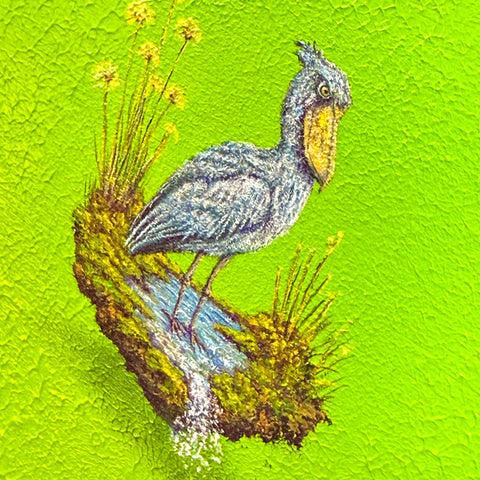 Shoebill "float" (S0)