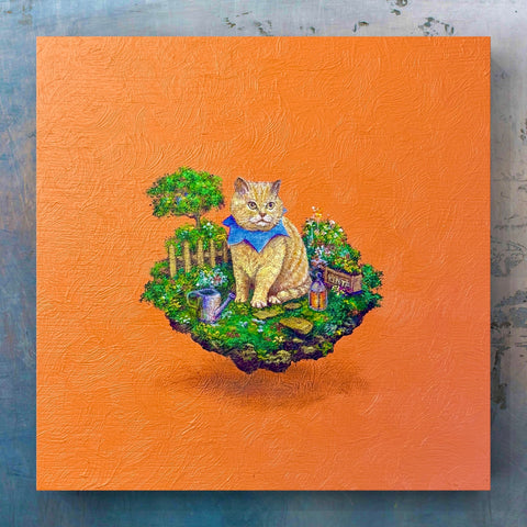 kinta cat "float" (S0)