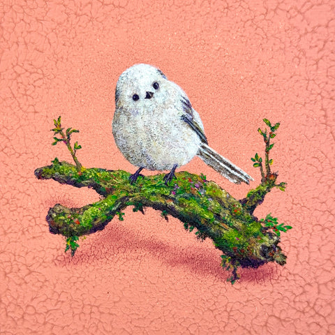 Long tailed Tit "float" (S0)