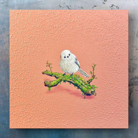 Long tailed Tit "float" (S0)