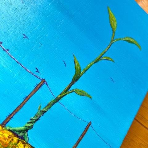 Overgrown beanstalk (SM)