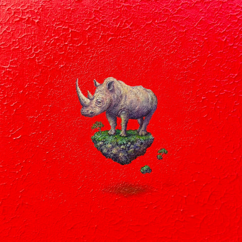 Rhinoceros "float"(S0)