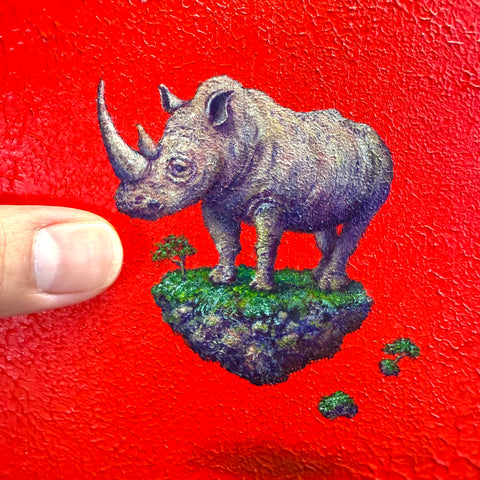 Rhinoceros "float"(S0)