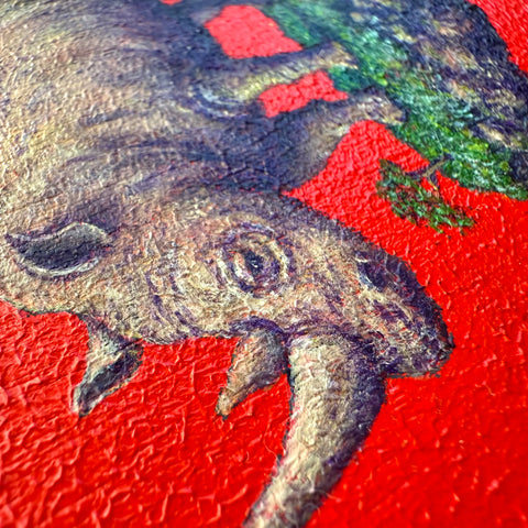Rhinoceros "float"(S0)