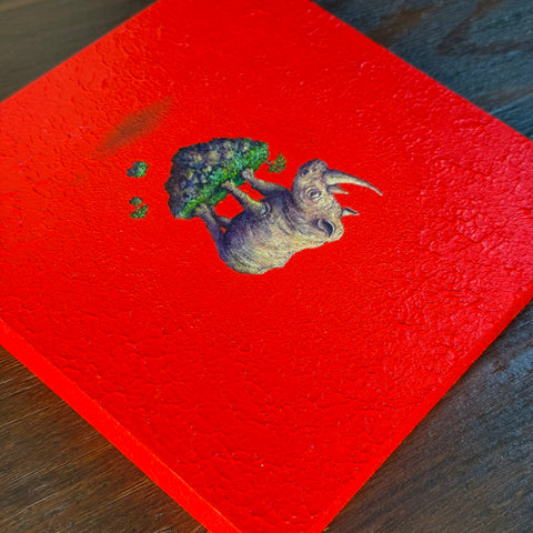 Rhinoceros "float"(S0)