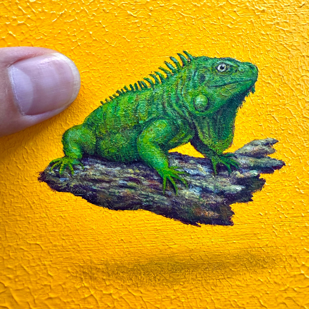 ONE PIECE / Iguana ワンピースアート/イグアナ Green Iguana 