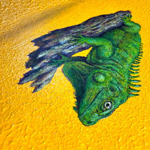 Green Iguana "float"(S0)