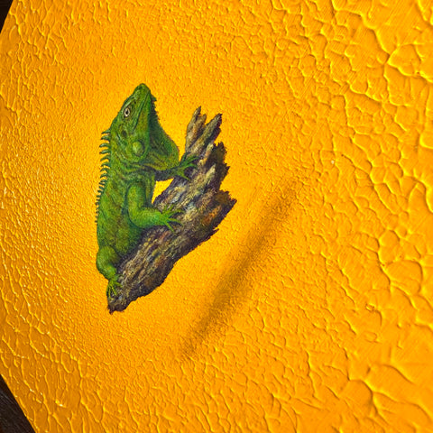 Green Iguana "float"(S0)