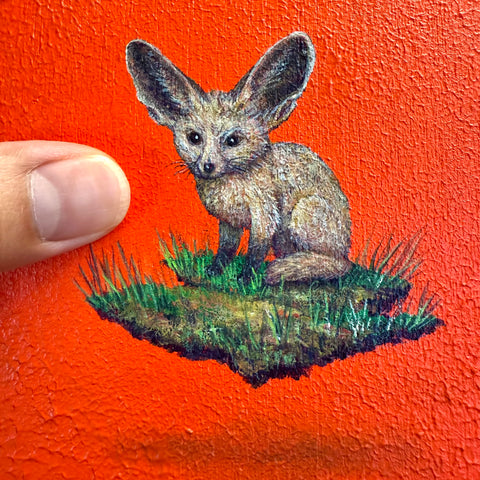 Bat eared Fox "float"(S0)