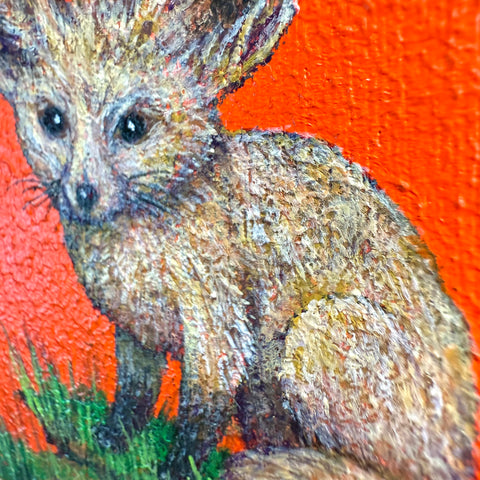 Bat eared Fox "float"(S0)