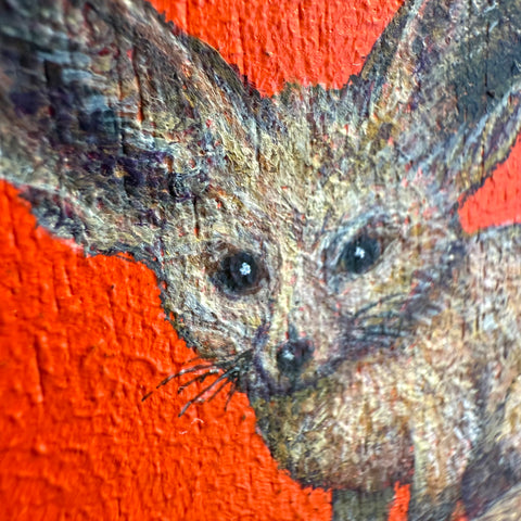 Bat eared Fox "float"(S0)