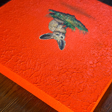 Bat eared Fox "float"(S0)