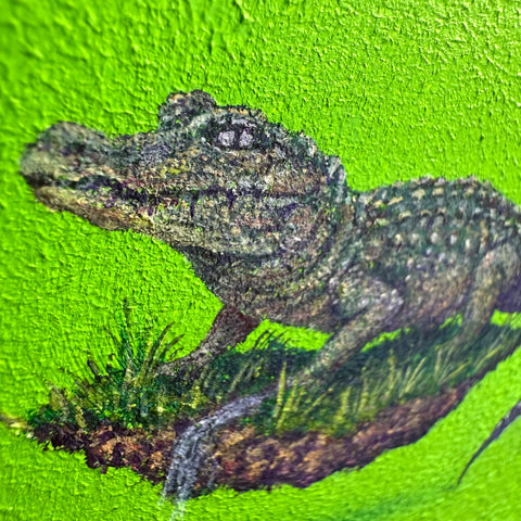 Chinese alligator "float"(S0)