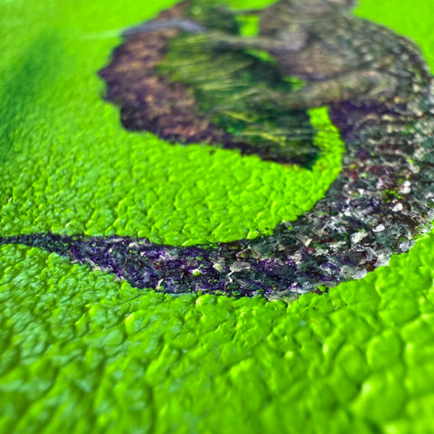 Chinese alligator "float"(S0)