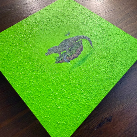 Chinese alligator "float"(S0)