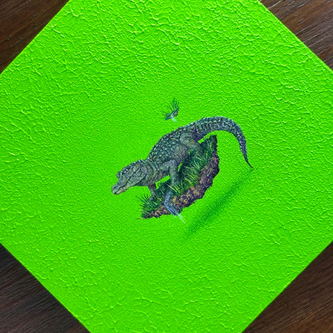 Chinese alligator "float"(S0)