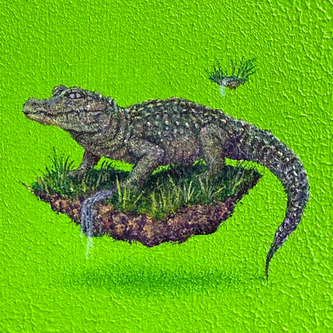 Chinese alligator "float"(S0)