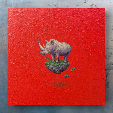 Rhinoceros "float"(S0)