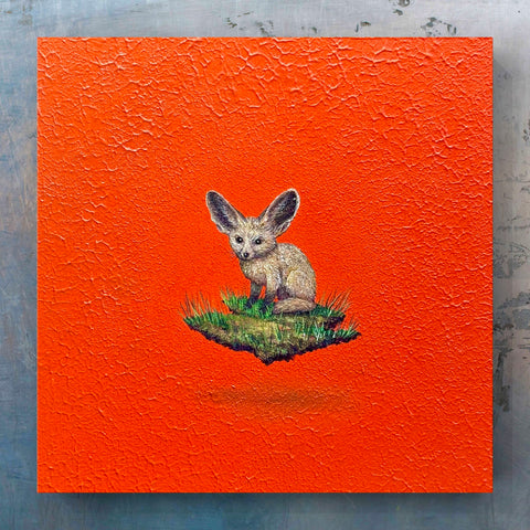 Bat eared Fox "float"(S0)