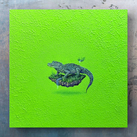 Chinese alligator "float"(S0)