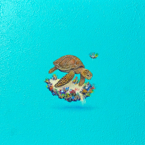 Sea turtle 002 "float"(S0)