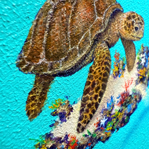 Sea turtle 002 "float"(S0)