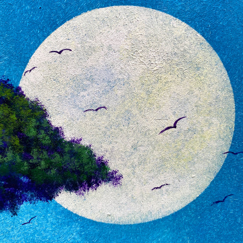Moon Blooming Town (F4)