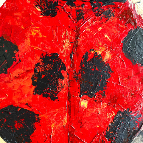 Lady bug Red 001 (F6)