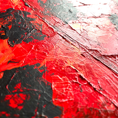 Lady bug Red 001 (F6)