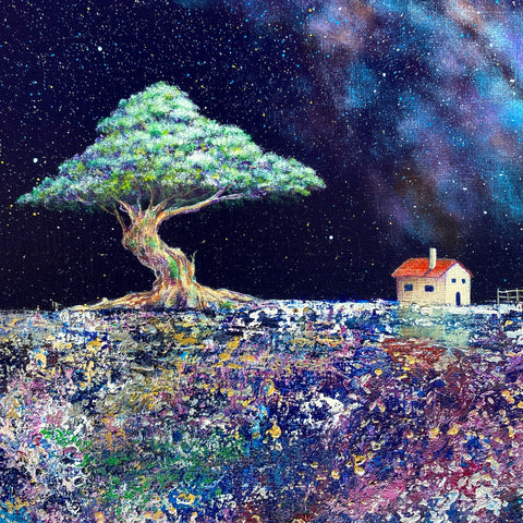 Rainbow Wilderness (F4)