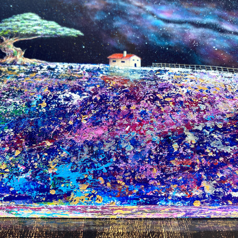 Rainbow Wilderness (F4)