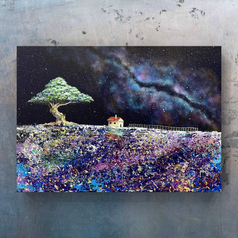 Rainbow Wilderness (F4)