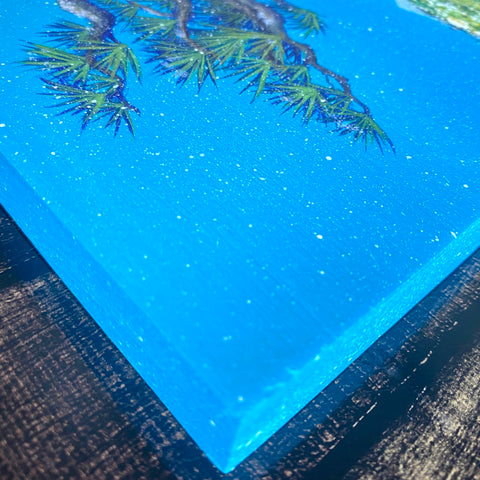 Clear snow (F4)
