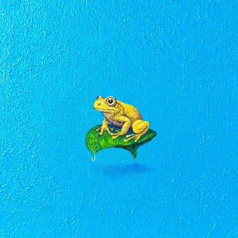 Golden Tree Frog and Leaf “float” (S0)
